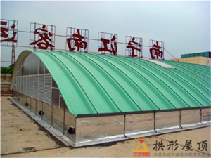 拱形波紋鋼屋蓋的幾點(diǎn)技術(shù)優(yōu)勢(shì)