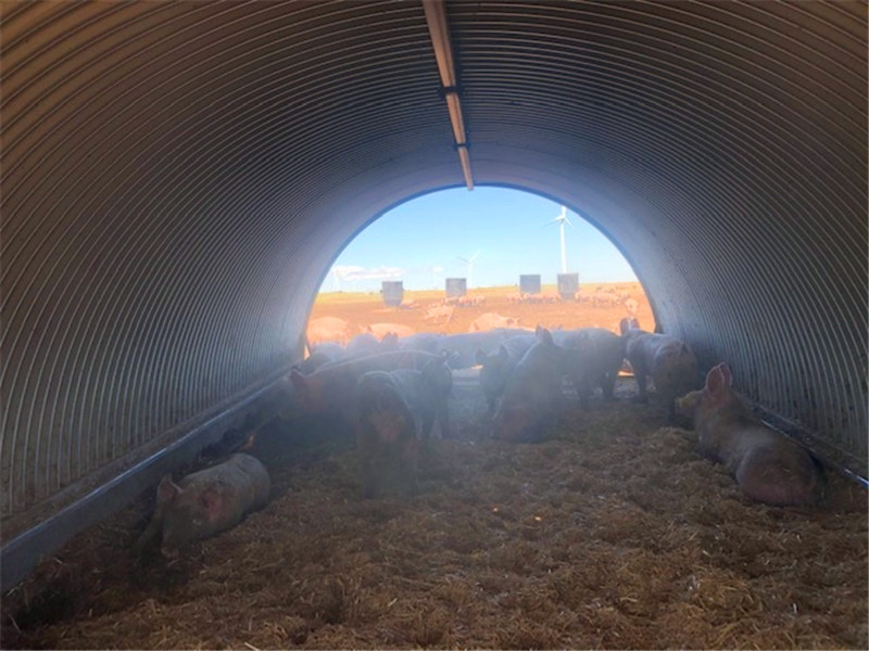 固定無梁拱形屋頂?shù)姆椒ǘ加心男┠兀?></a>
	</div></li>									<li id=